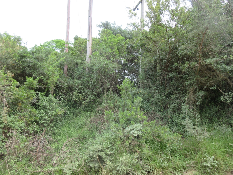 0 Bedroom Property for Sale in Bathurst Eastern Cape